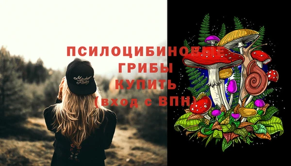 а пвп мука Верея