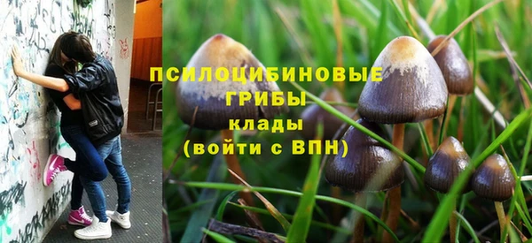 первитин Верхний Тагил