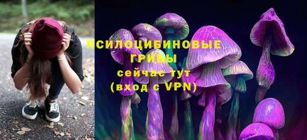 Альфа ПВП Верхнеуральск