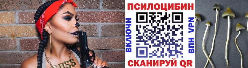 Псилоцибиновые грибы мицелий  Коломна 